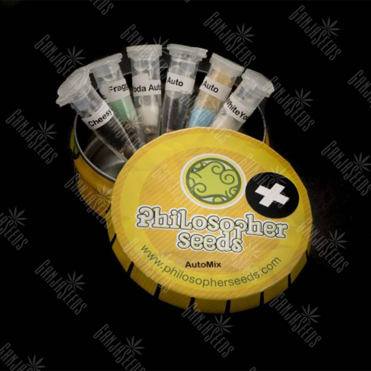 семена конопли феминизированные Auto Mix+ feminised Philosopher Seeds