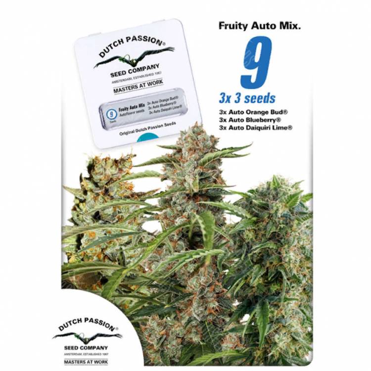 заказать на сайте семена конопли Autoflower Fruity Mix feminised Dutch Passion Seeds