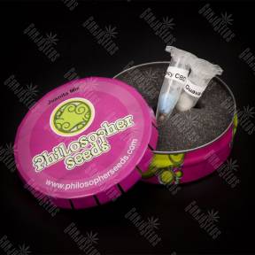 Juanita Mix feminised Philosopher Seeds