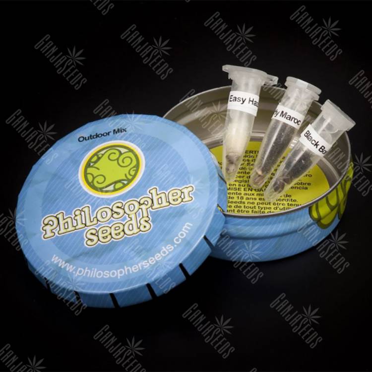 семена конопли аутдор Outdoor Mix feminised Philosopher Seeds