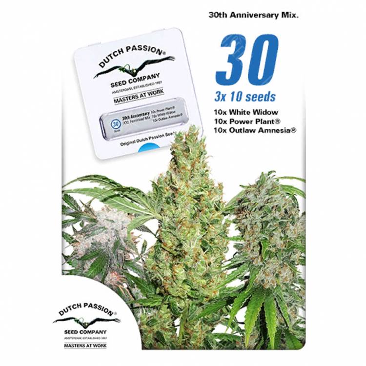 хорошие семена конопли 30st Anniversary Mix feminised Dutch Passion Seeds