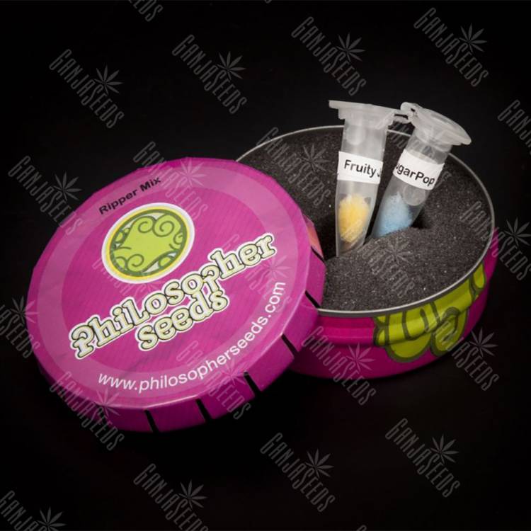 семена конопли для курения Ripper Mix feminised Philosopher Seeds