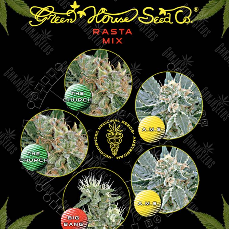 семена конопли в фирменной упаковке Rasta K Mix feminised Green House Seeds