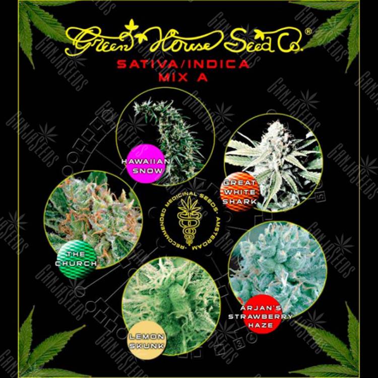 семена конопли феминизированные Sativa/Indica Mix A feminised Green House Seeds
