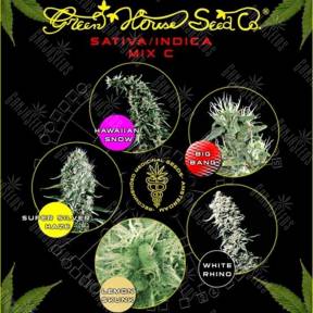 Sativa/Indica Mix C feminised Green House Seeds
