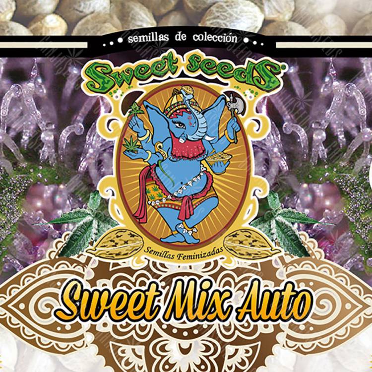 семена конопли для выращивания Auto Sweet Mix feminised Sweet Seeds