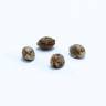 семена конопли курьером 2048 feminised Medical Seeds