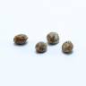 семена конопли элитных сортов Deep Neville regular Medical Seeds