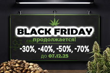 Черная пятница продлена!